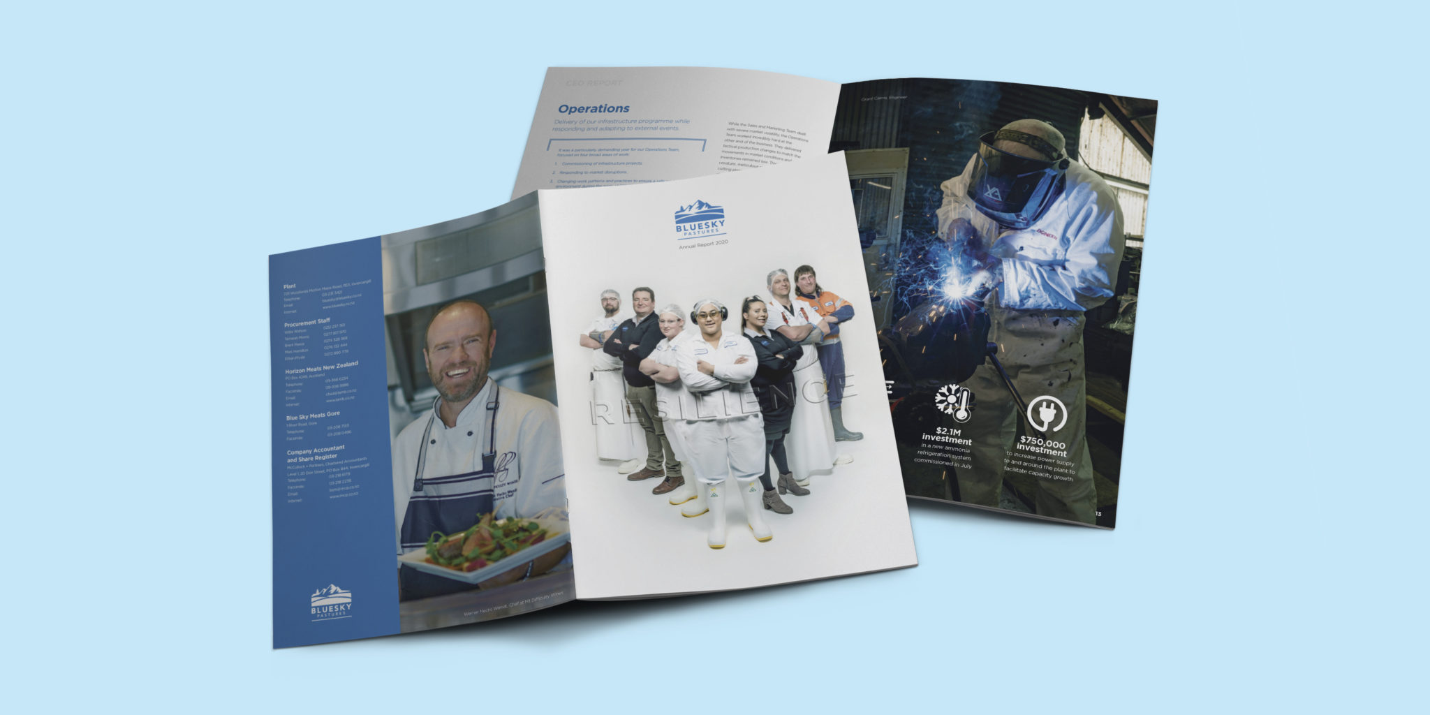 Blue Sky Annual Report Project